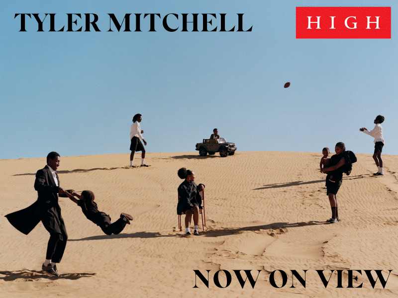 06-03-2024_Tyler_Mitchell_Email_Type_Motion_800x600_NOW_ON_VIEW – Liza Shevitz Levy