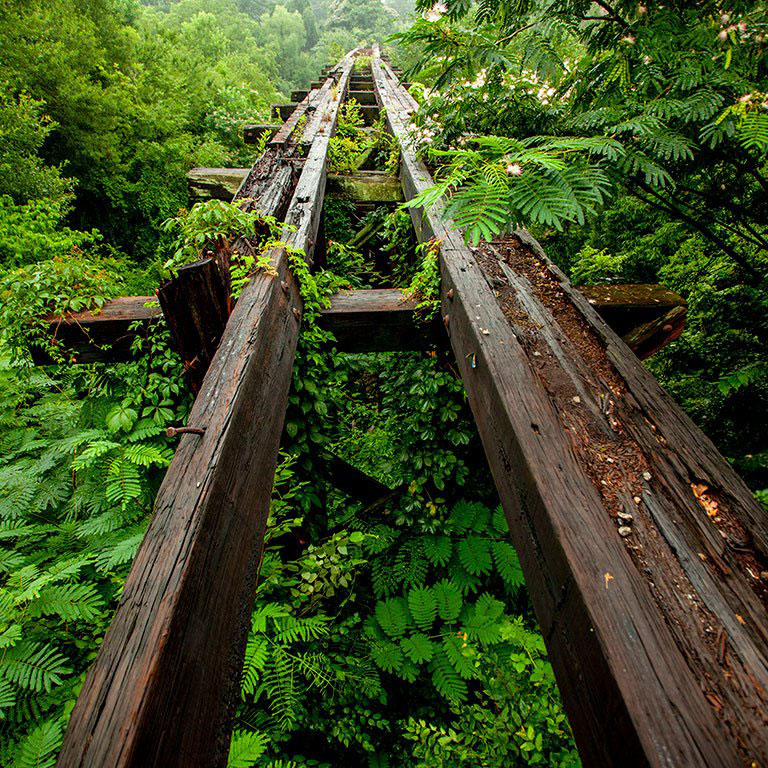 10-24-2024_thrasher-talk_MurmurTrestle_Book_0047 – Hillary Brown